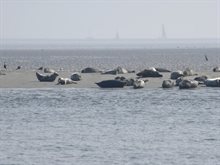 Foto: Margreet Frowijn