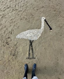 Lepelaar gemaakt van strandvondsten