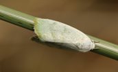 IMG_5353
