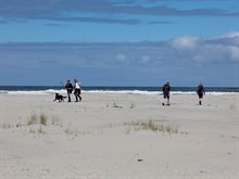 Wandelaars op het strand