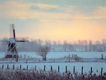 Winterse landschap Lauwersmeergebied (